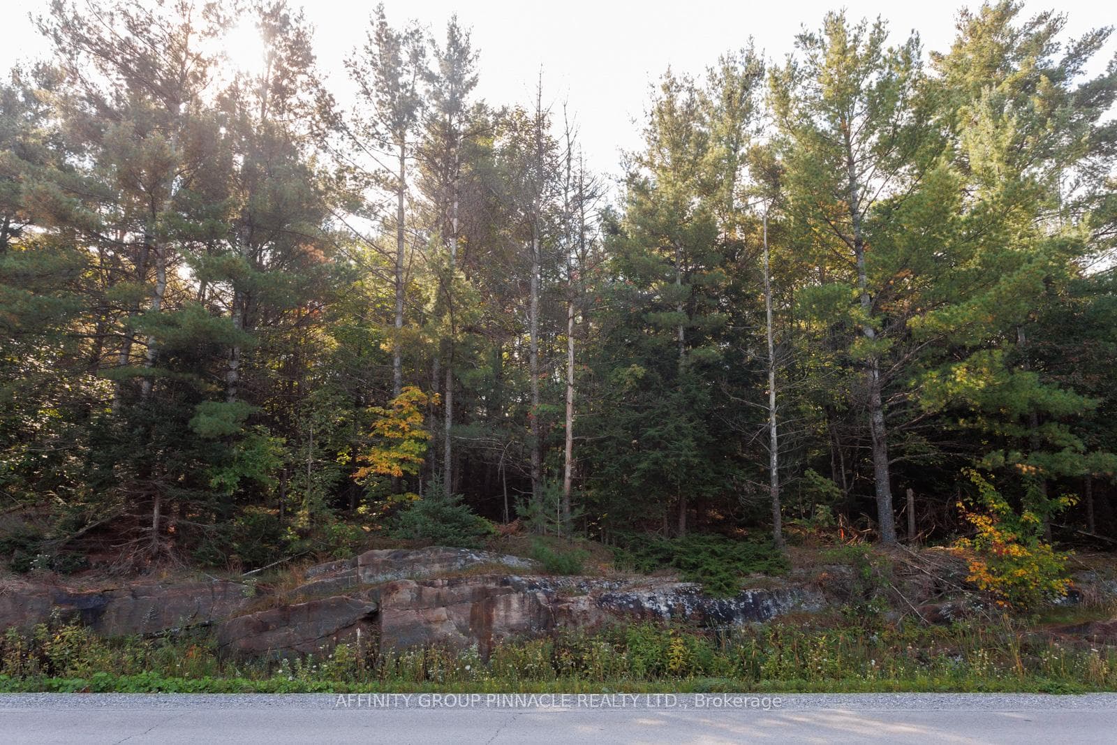 0 Monck Road Unit PART 2, Kawartha Lakes, ON K0M 1X0 - Photo 1