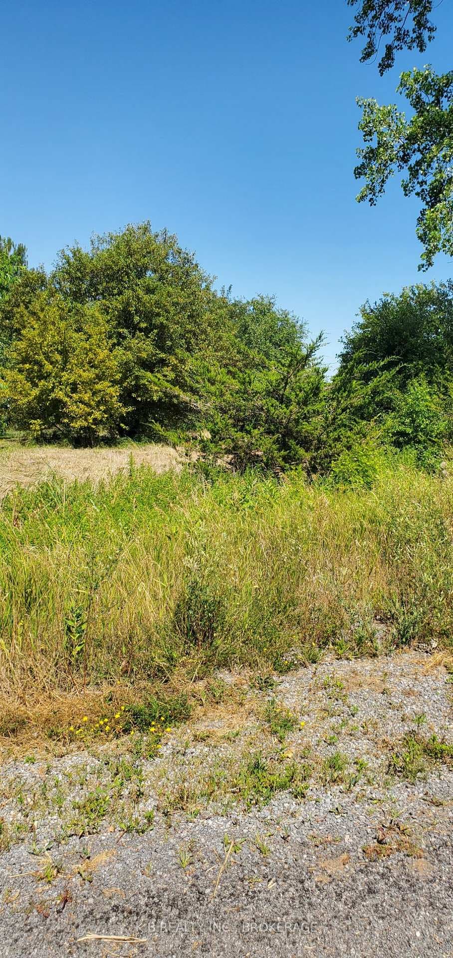 66 Dorland Drive, Greater Napanee, ON K7R 3K7 - Photo 1