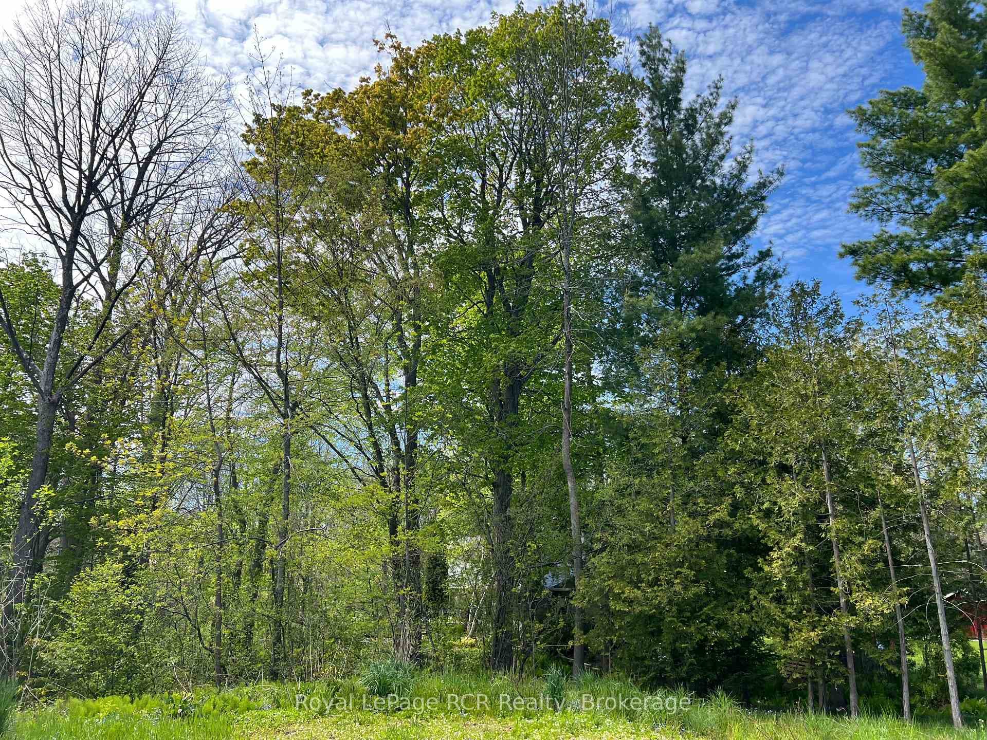 48 Gordon Crescent, Meaford, ON N4L 0A9 - Photo 1