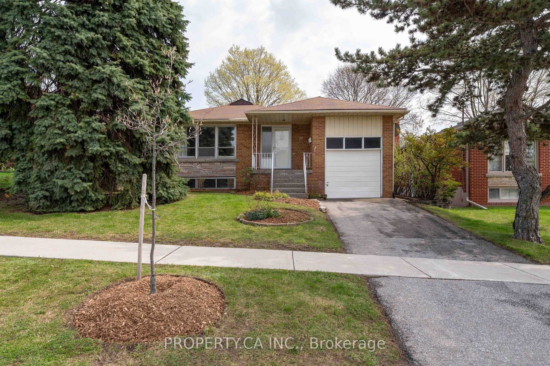 19 Jill Crescent, Etobicoke (Islington / Rexdale), ON M9B 6B2 - Photo 1