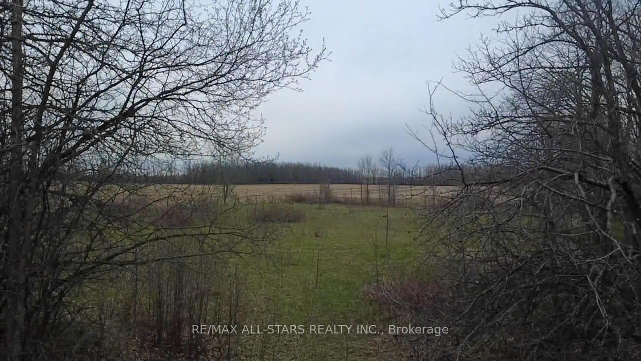 0 Post Road, Kawartha Lakes, ON K0L 2X0 - Photo 1