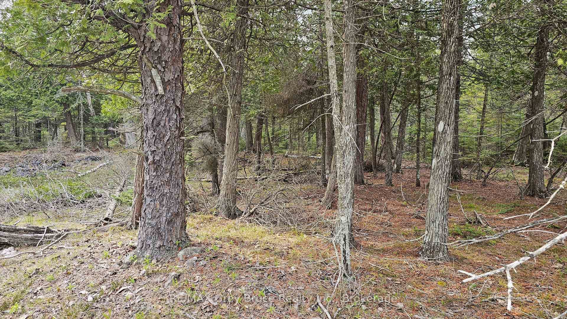 LT 255 Pedwell Pt. Drive, Northern Bruce Peninsula, ON N0H 2R0 - Photo 1