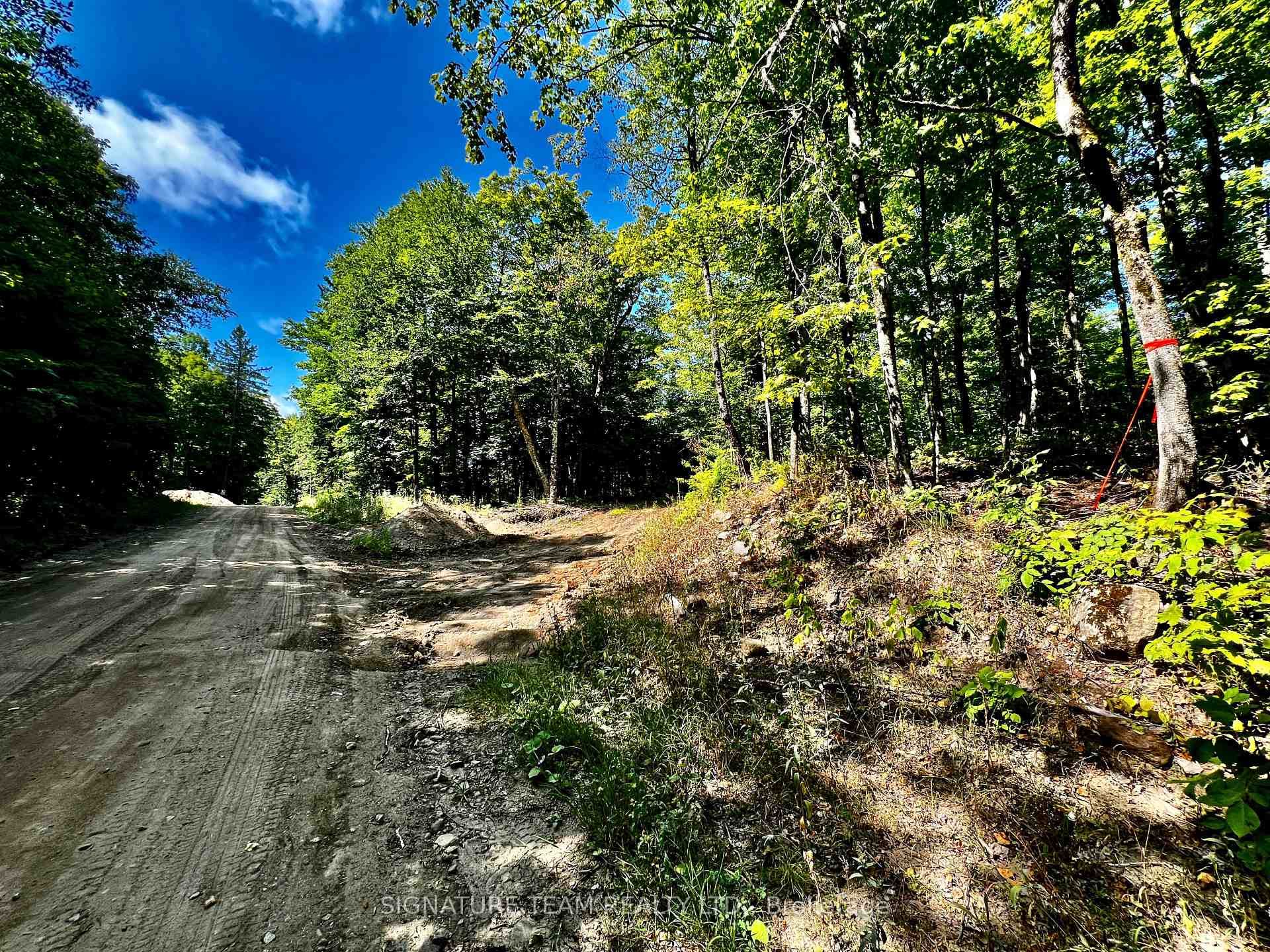 0 Nordic Lane, Brudenell, Lyndoch and Raglan, ON K0J 2A0 - Photo 1