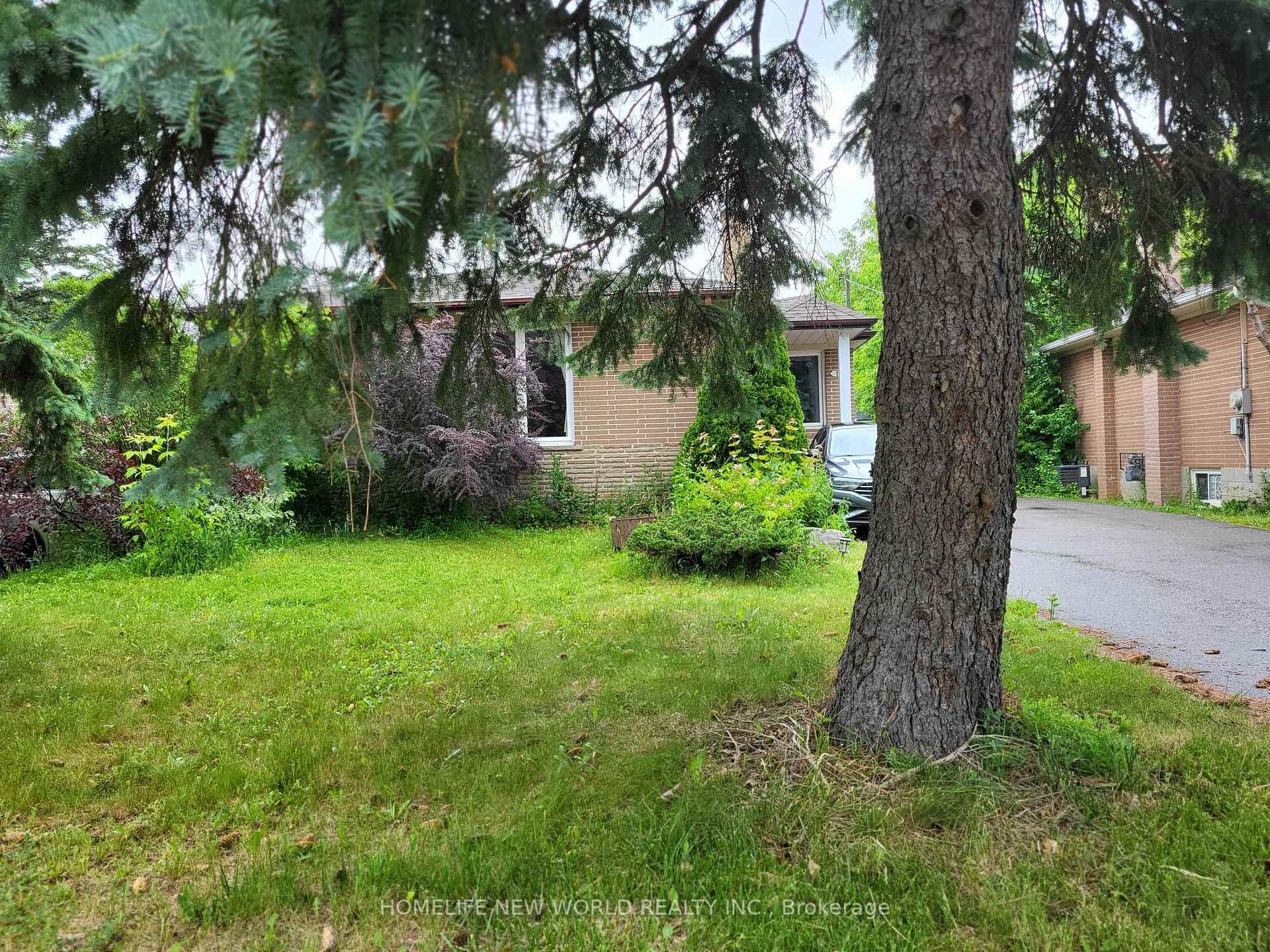 118 Cartier Crescent Unit Main, Richmond Hill, ON L4C 2N6 - Photo 1
