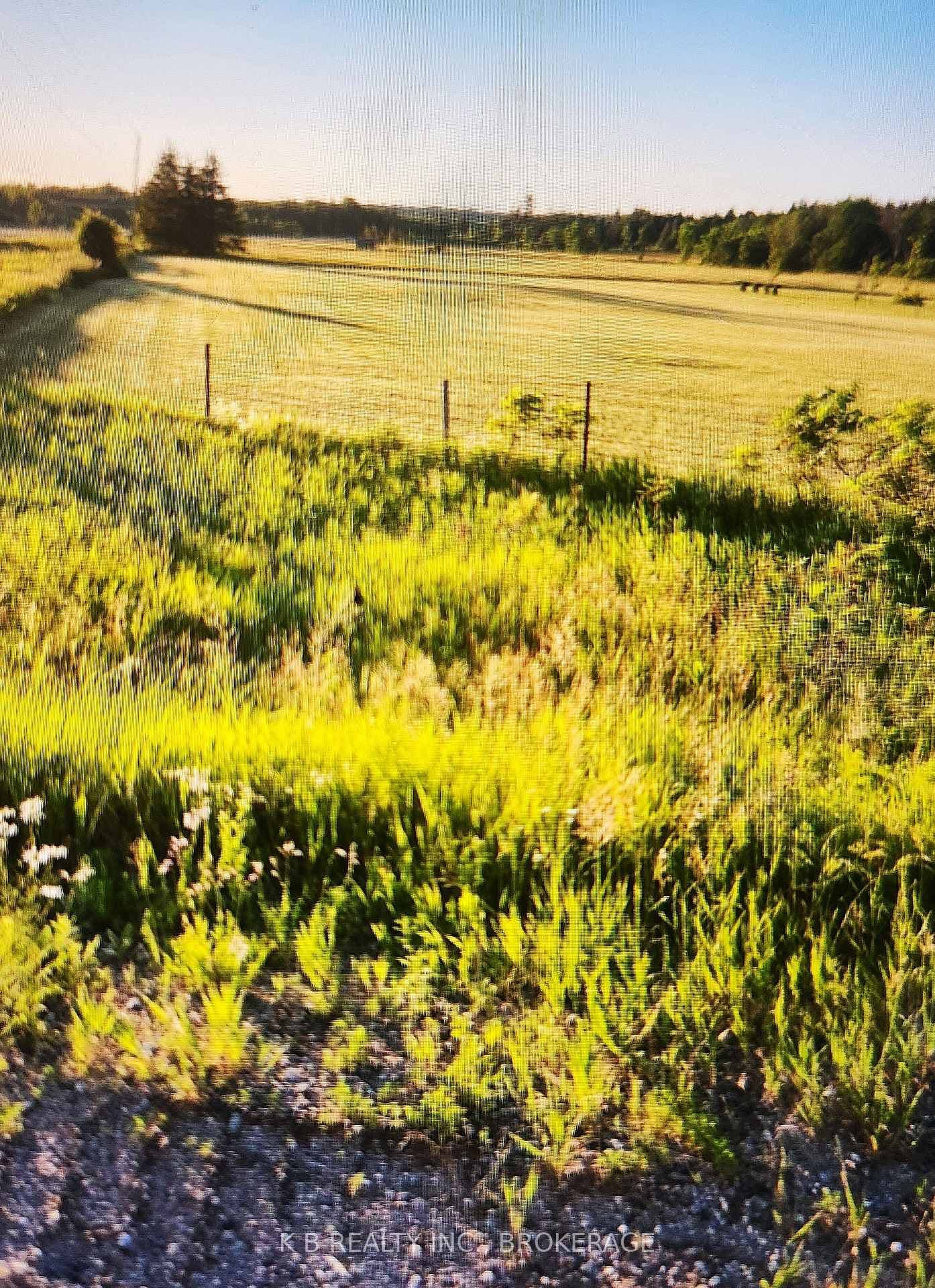 0 Sutherland Road, Whitewater Region, ON K0J 1K0 - Photo 1