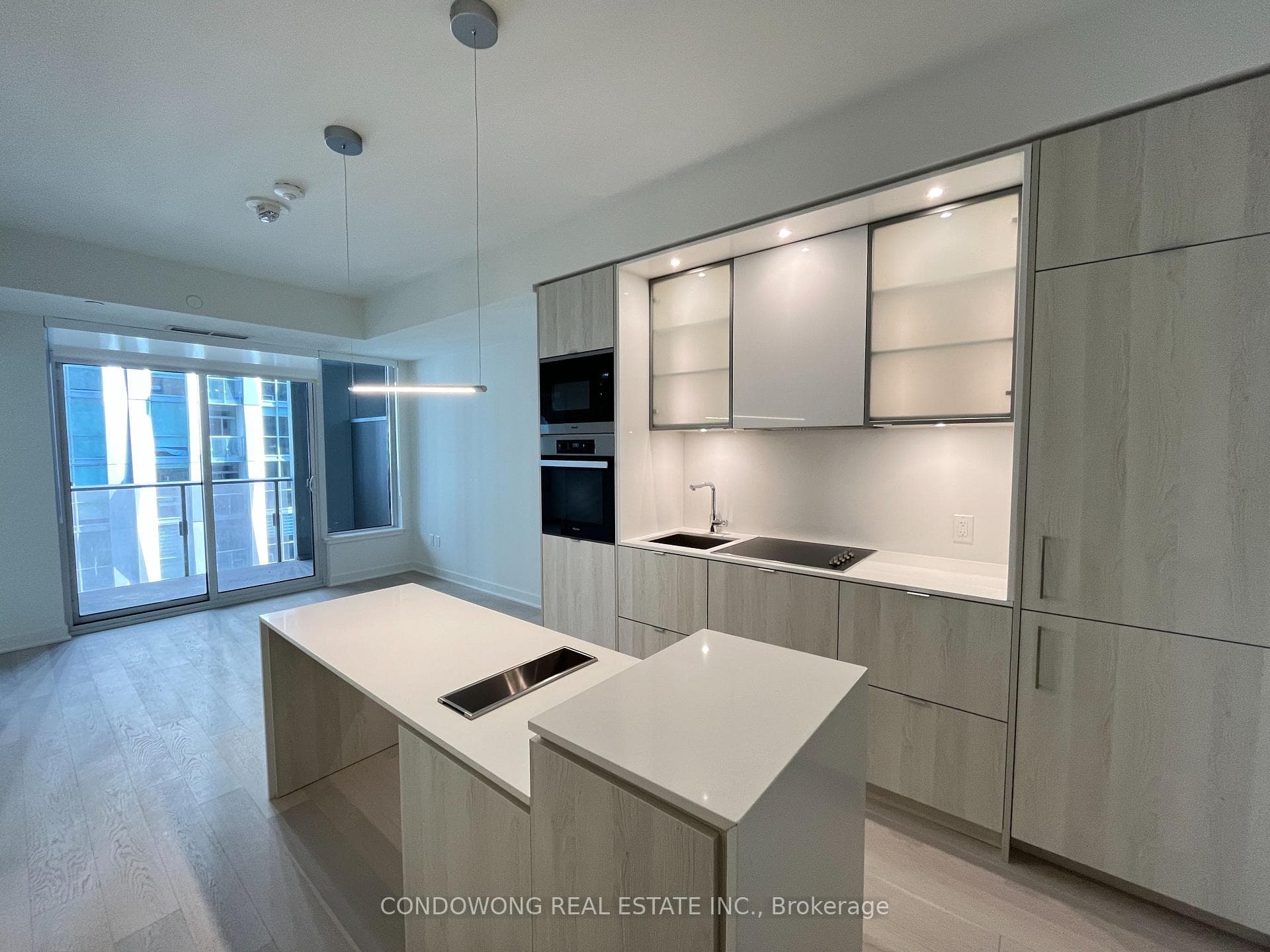 Luxurious High End Kitchen