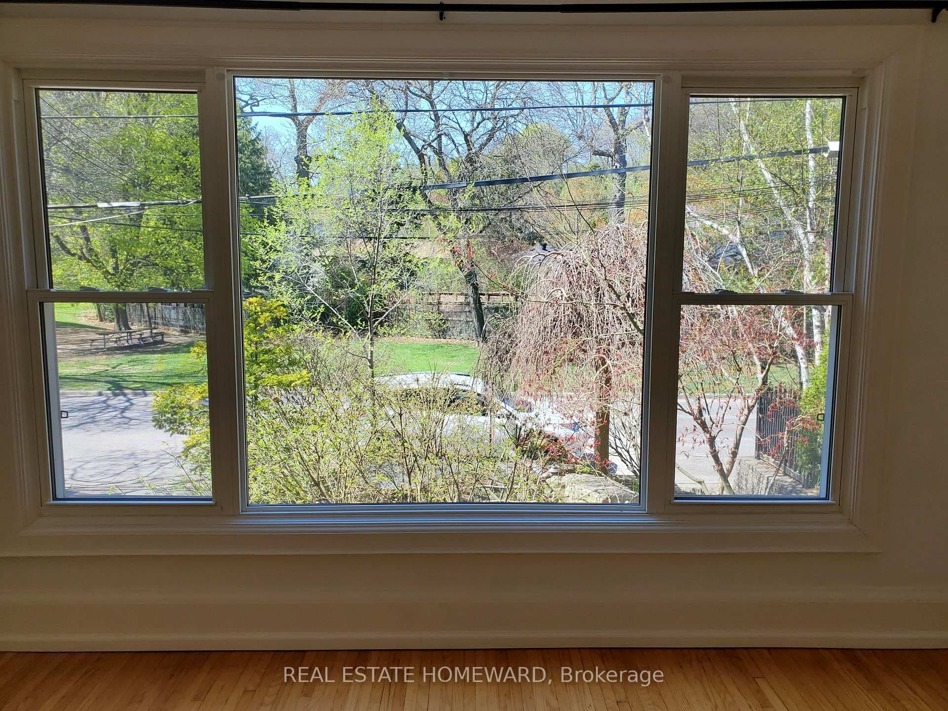 Spring -View from Living Room Window