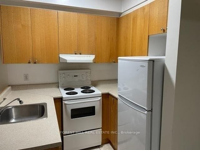 126 Dundas Street Unit 202, Regent Park / Cabbagetown / St. James Town, ON M5B 1E2 - Photo 1