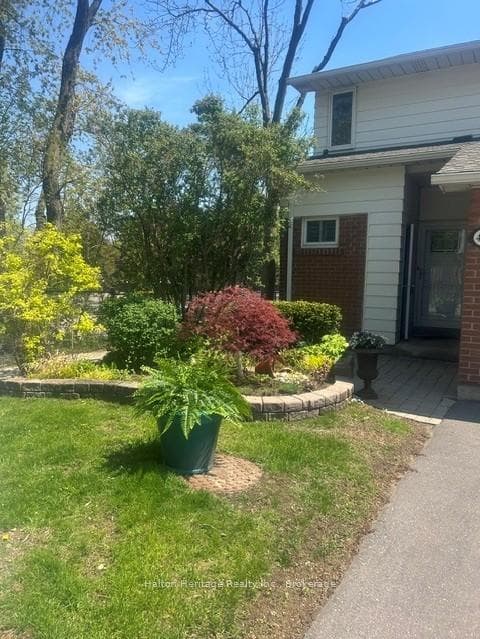 Landscaped with mature shrubs & stone edged garden