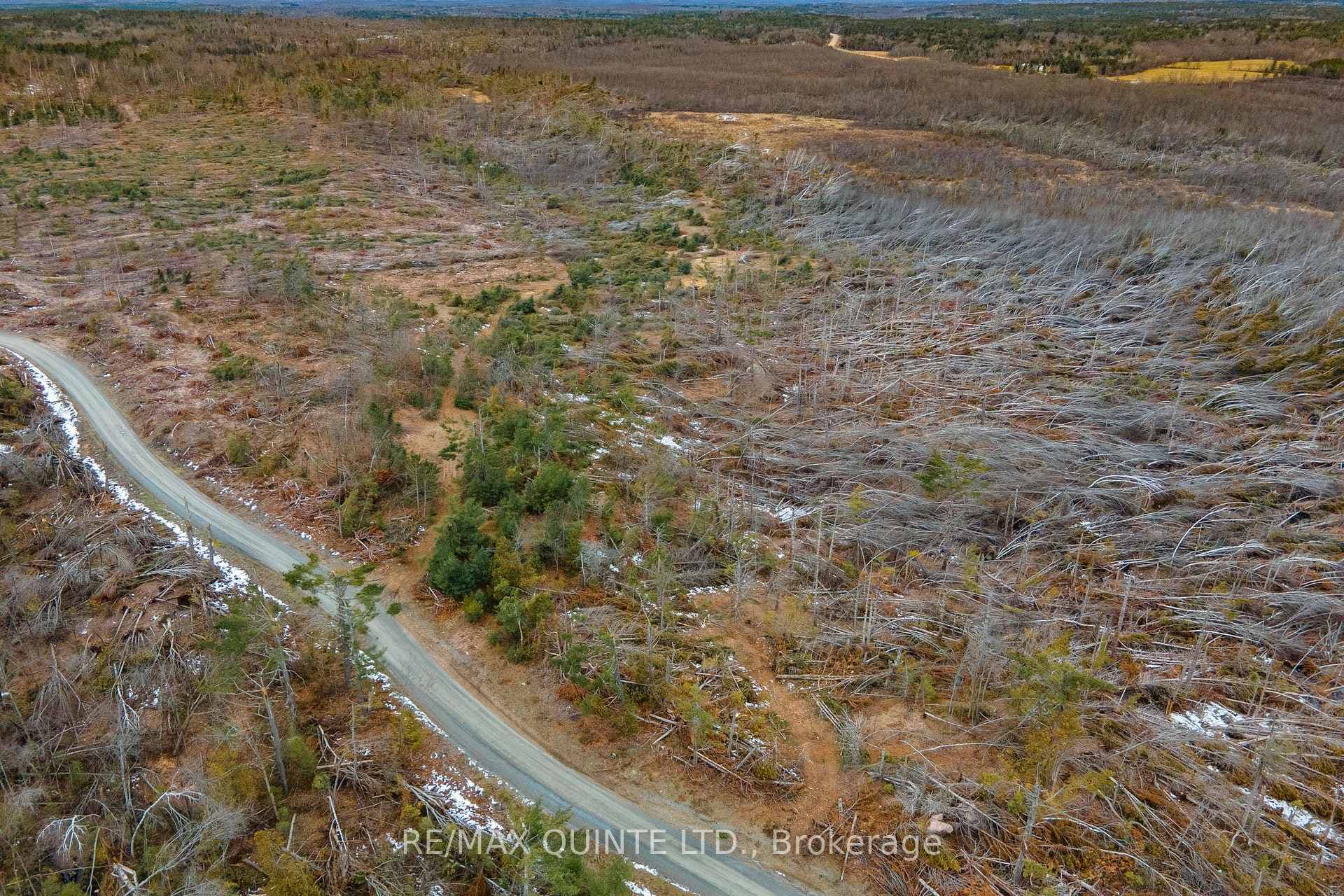 0 POTTER SETTLEMENT Road, Tweed, ON K0K 3J0 - Photo 1