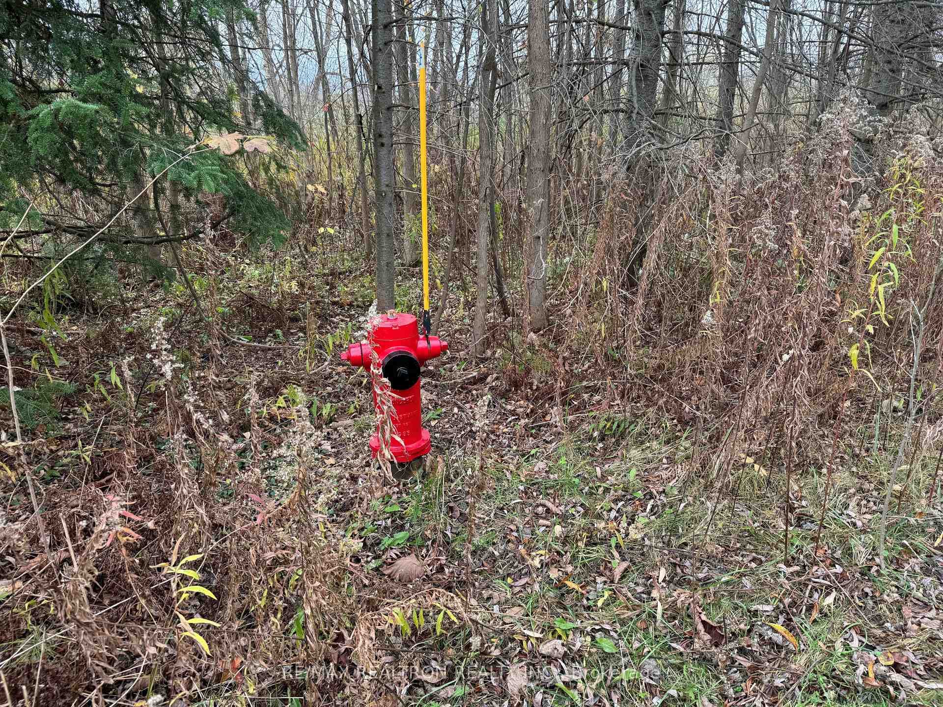 0 Taylorwoods Boulevard, Innisfil, ON L9S 2E9 - Photo 1