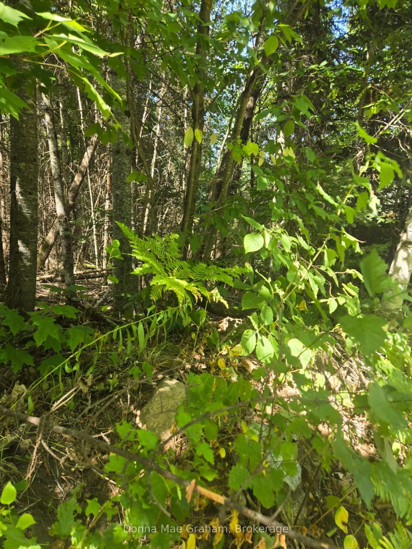 0 MacDuff Road Acres, Highlands East, ON K0L 3C0 - Photo 1