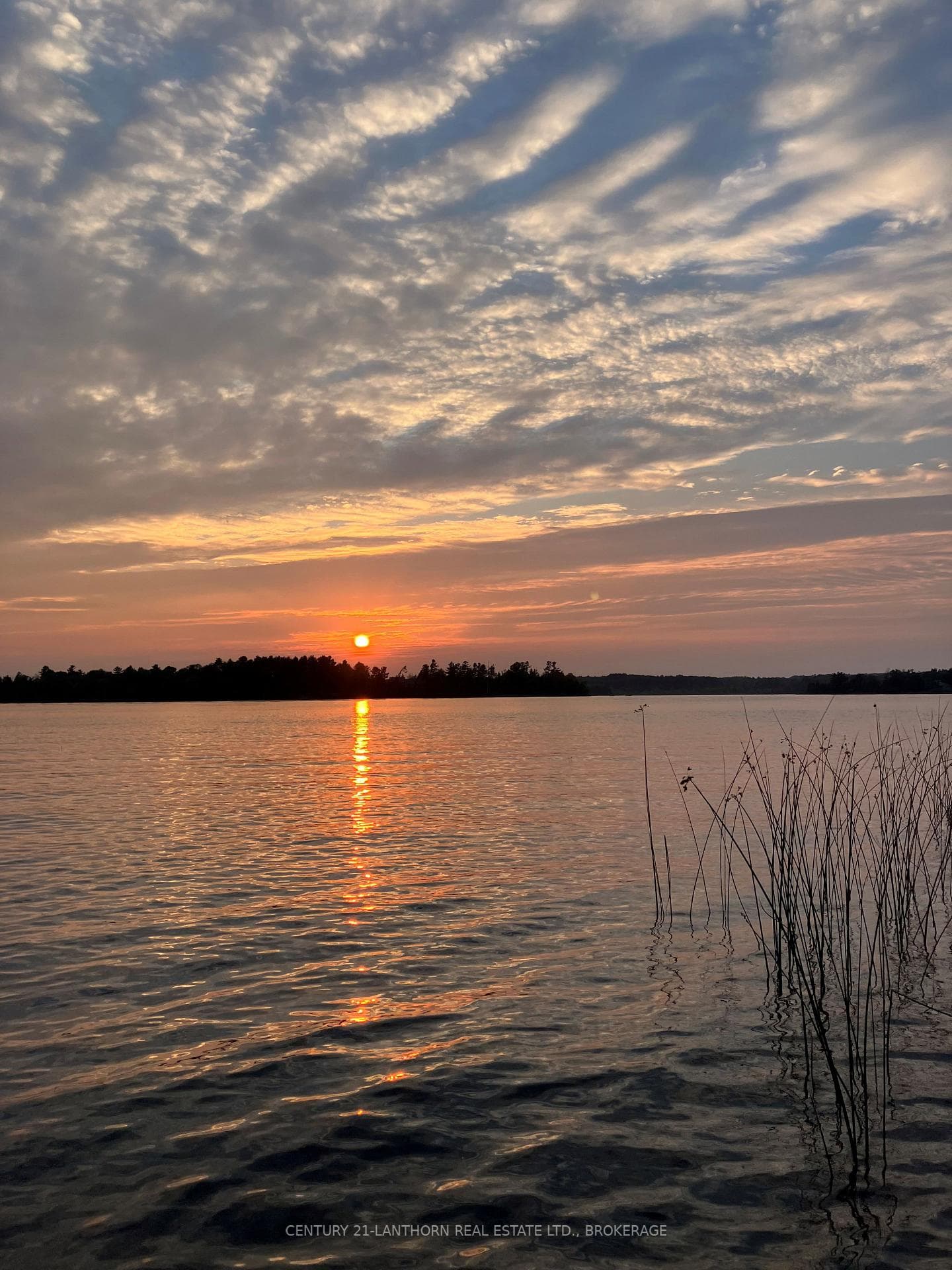 0000 Cedarstone Road, Stone Mills, ON K0K 3G0 - Photo 1