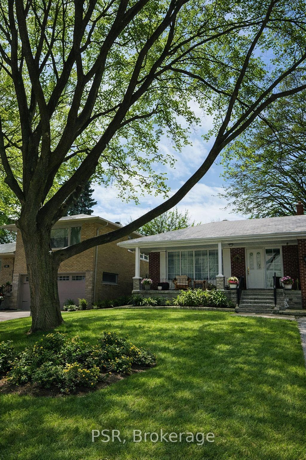 Welcome to 56 Ashmount!