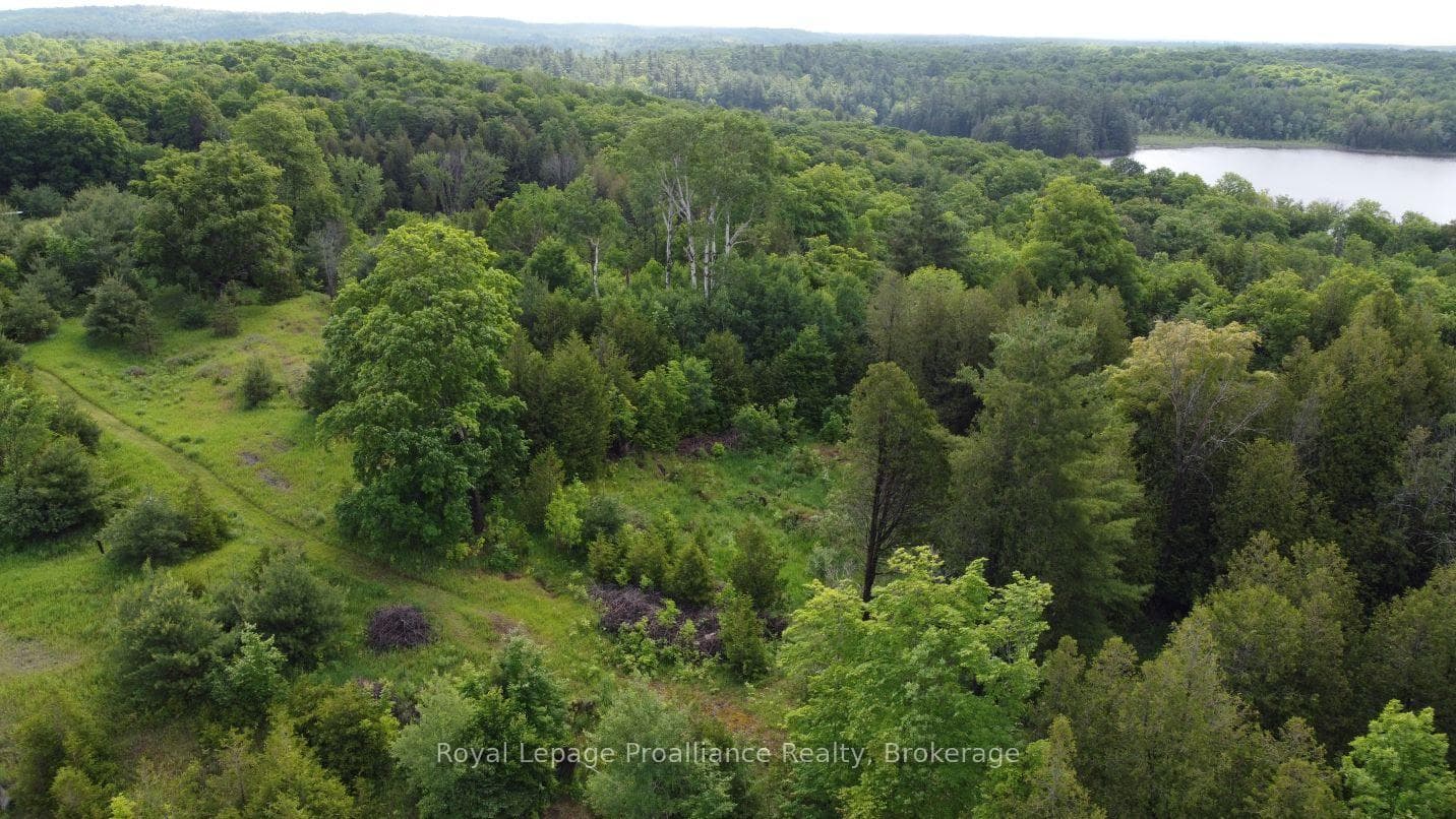 5966 HWY 506 Road, Frontenac, ON K0K 1C0 - Photo 1