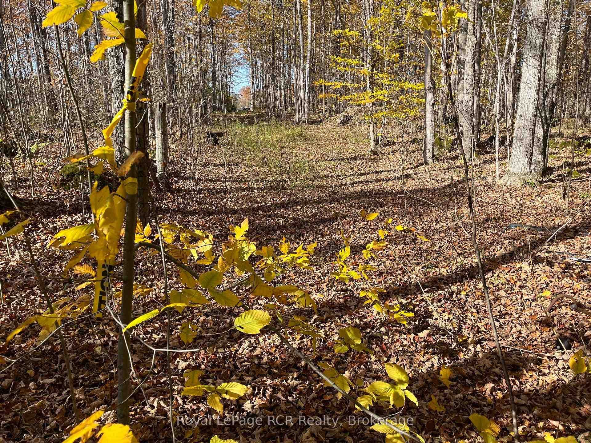 Part Lot 17 Grey Road 17 Road, Georgian Bluffs, ON N0H 2T0 - Photo 1