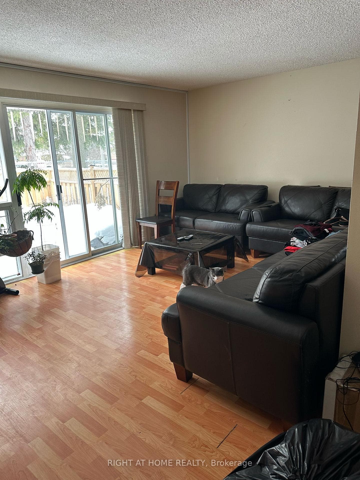 3409 st.clair Avenue Unit 1, Dorset Park / Kennedy Park, ON M1L 1W3 - Photo 1