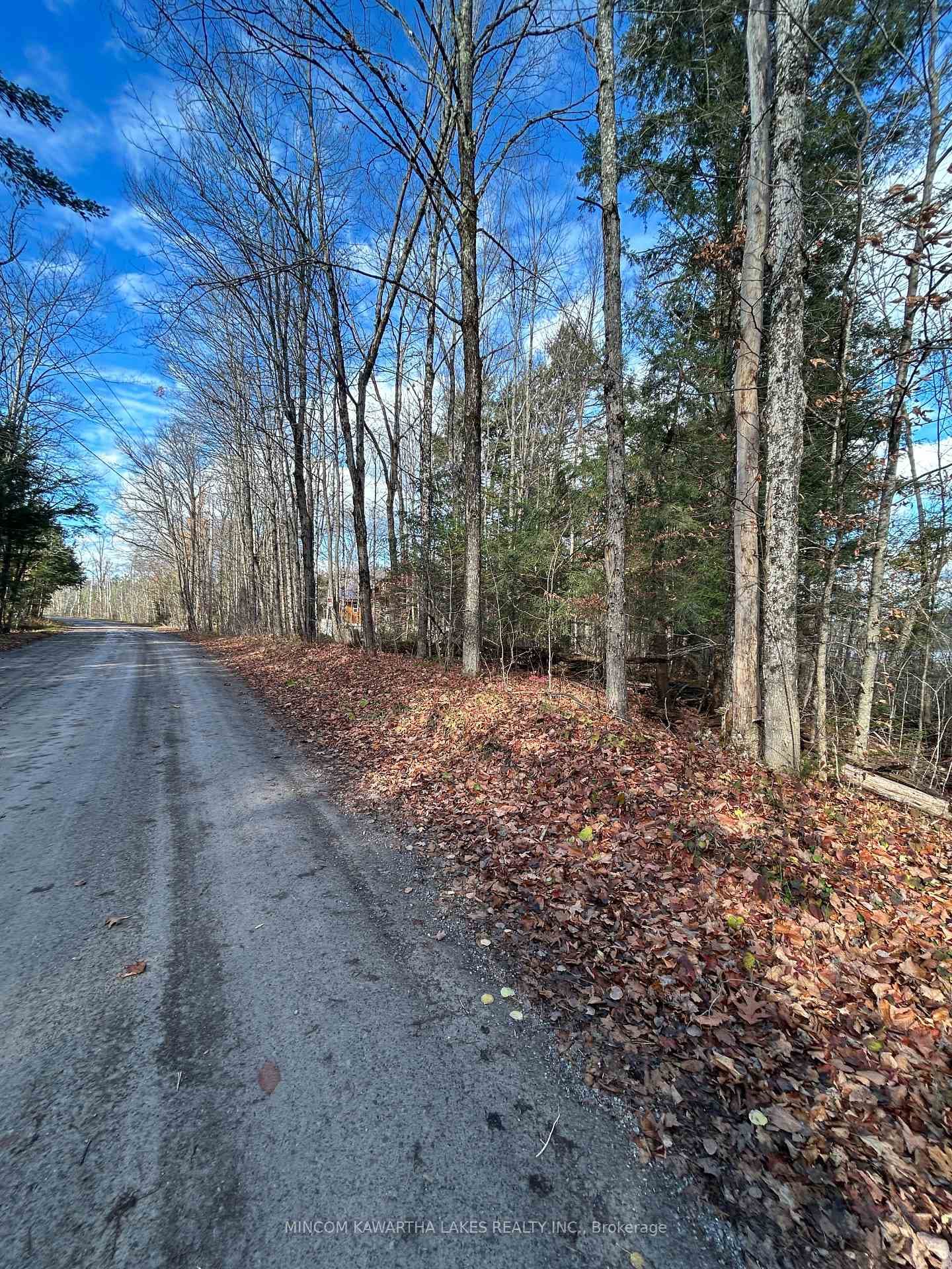 00 Mill Lake Road, North Kawartha, ON K0L 1A0 - Photo 1
