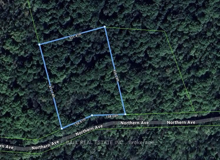 0 Northern Avenue, Trent Lakes, ON K0M 1A0 - Photo 1