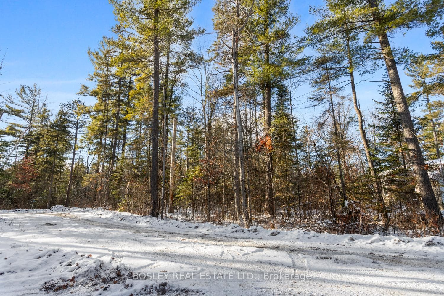00 Pineview Court, Marmora and Lake, ON K0K 2M0 - Photo 1