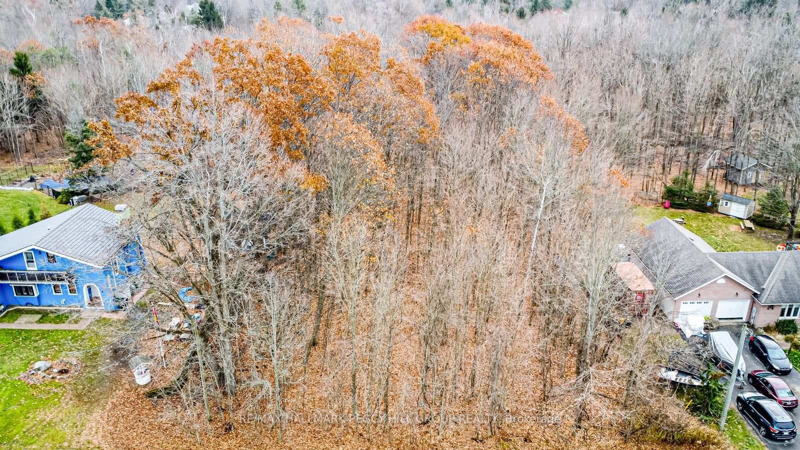 17 Valleyview Drive, Oro-Medonte, ON L0K 1N0 - Photo 1