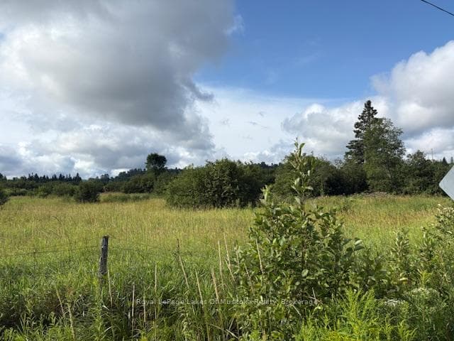 0 Old Muskoka to the East Side of #1105 Road, Huntsville, ON P0B 1M0 - Photo 1