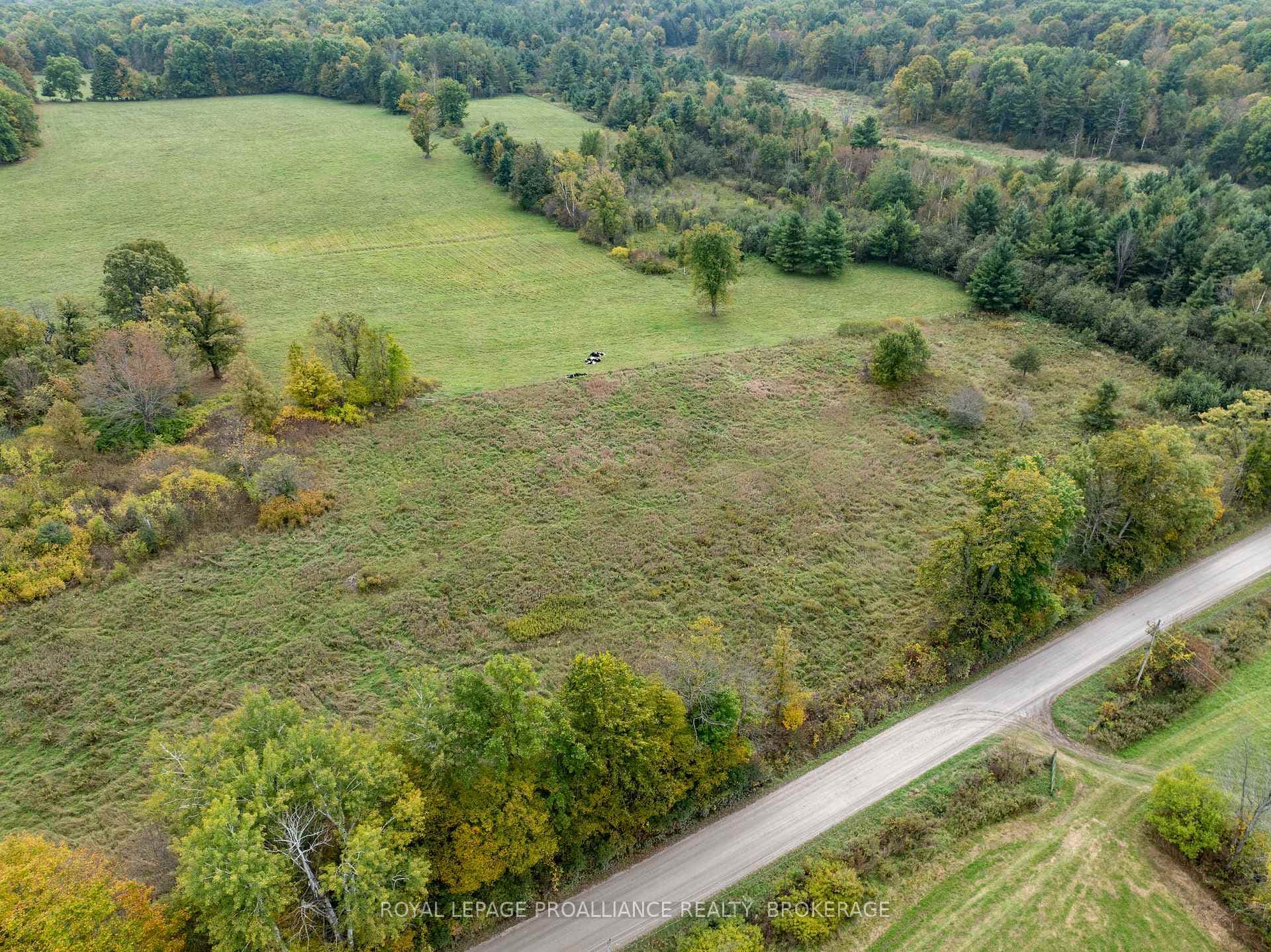 PT 4 McAndrews Road, Rideau Lakes, ON K0G 1X0 - Photo 1