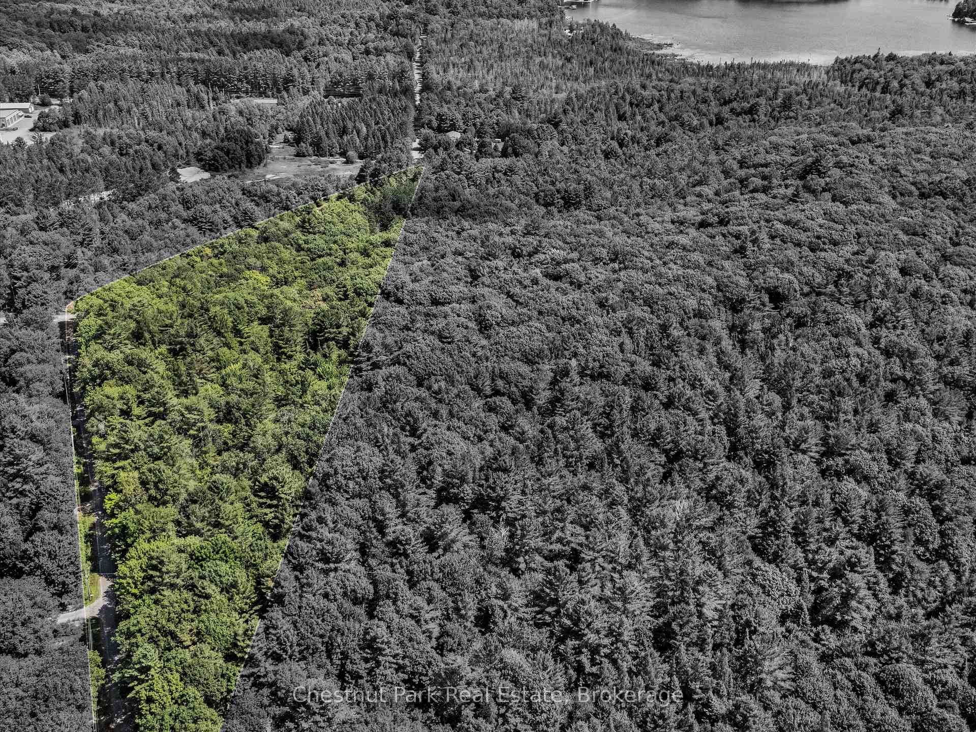 0 Langford Road, Lake of Bays, ON P0B 1A0 - Photo 1