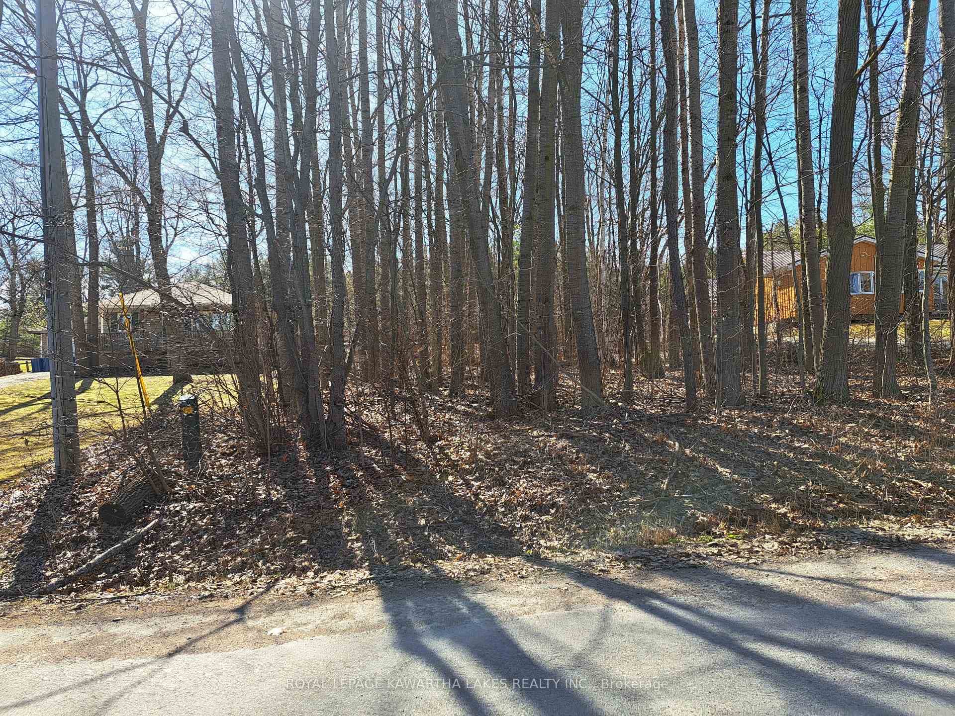 0 Poplar Drive, Hamilton Township, ON K0L 1E0 - Photo 1