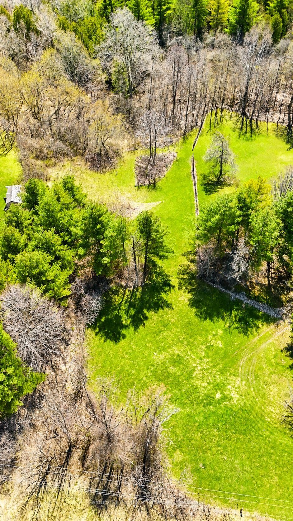 0 Wellington Road 36 Road, Puslinch, ON N0B 2L0 - Photo 1