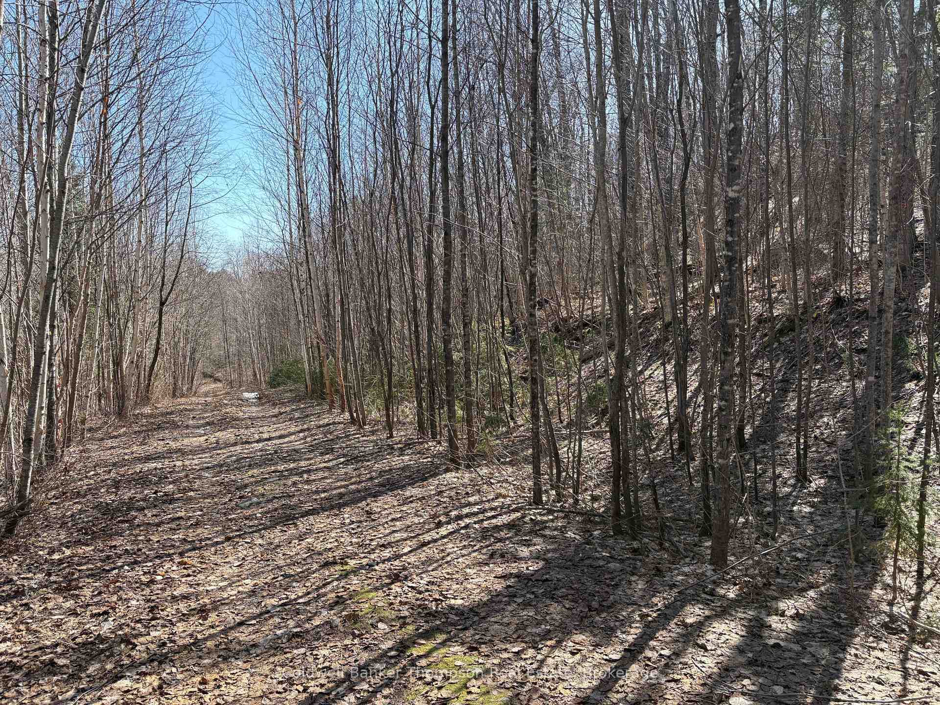 Property is on a seasonal road.