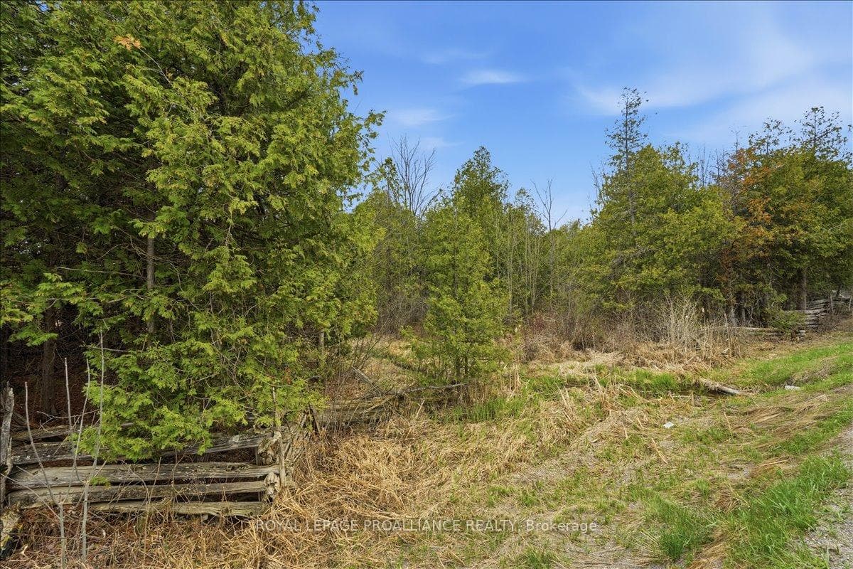 0 Quin Mo Lac Road, Tweed, ON K0K 3J0 - Photo 1