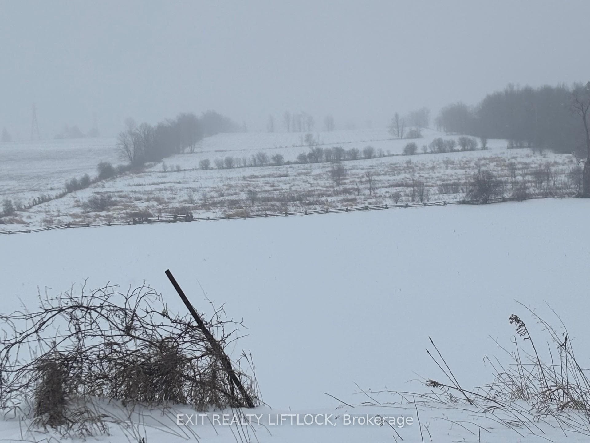 0 County Rd 21 N/A, Cavan Monaghan, ON L0A 1G0 - Photo 1