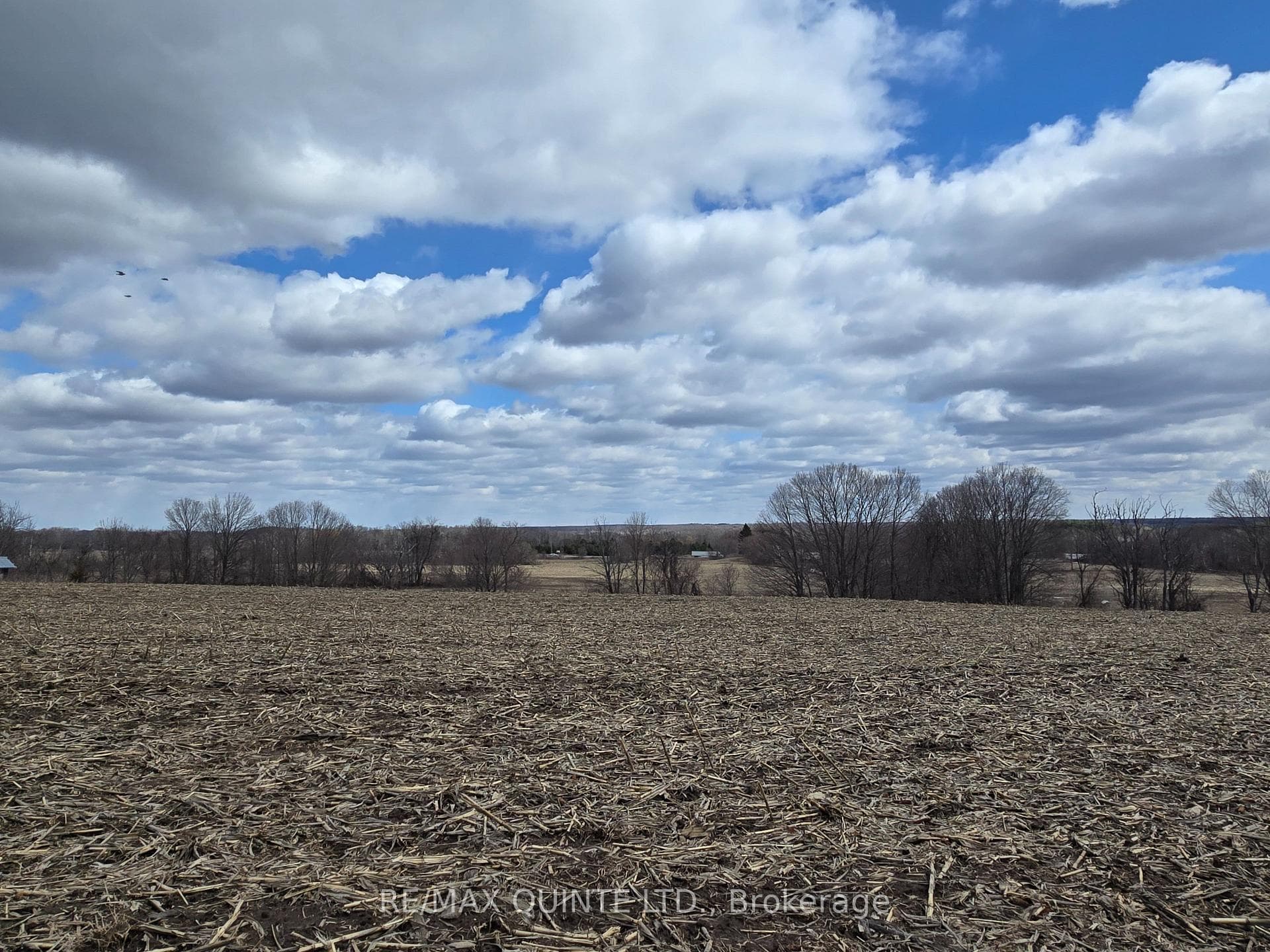 0 Marrisett Road, Tweed, ON K0K 3H0 - Photo 1
