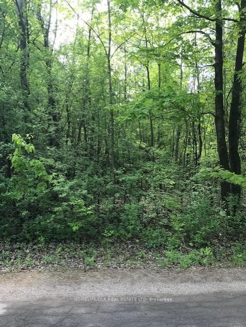 0 Graham Lake Road, Front of Yonge, ON K0E 1R0 - Photo 1