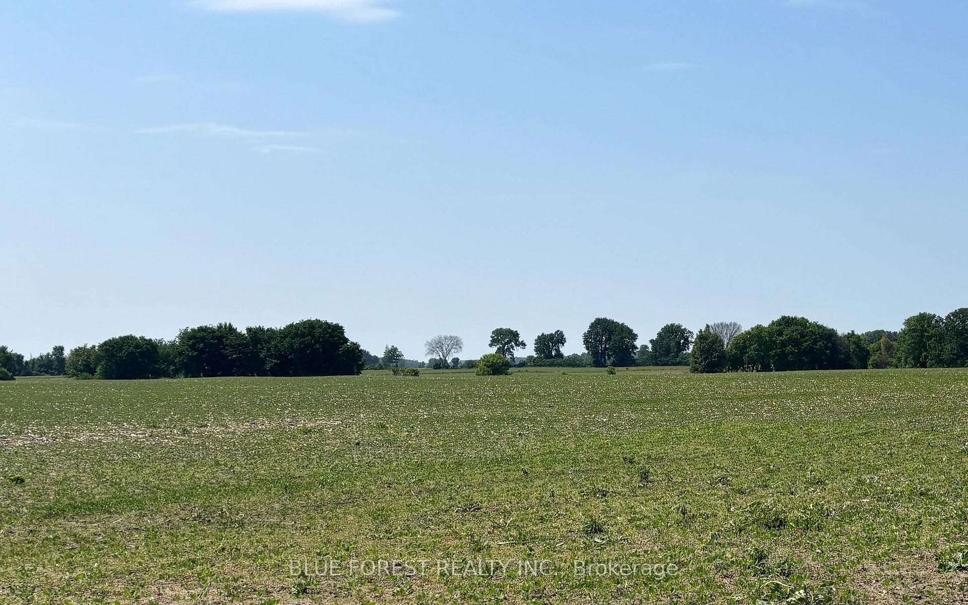 0 Downie Road, Dawn-Euphemia, ON N0P 1C0 - Photo 1
