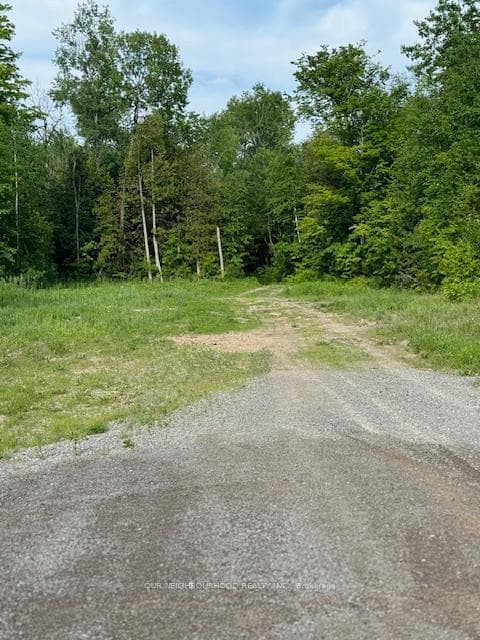 0 Concession 7 N/A, Madoc, ON K0K 2K0 - Photo 1