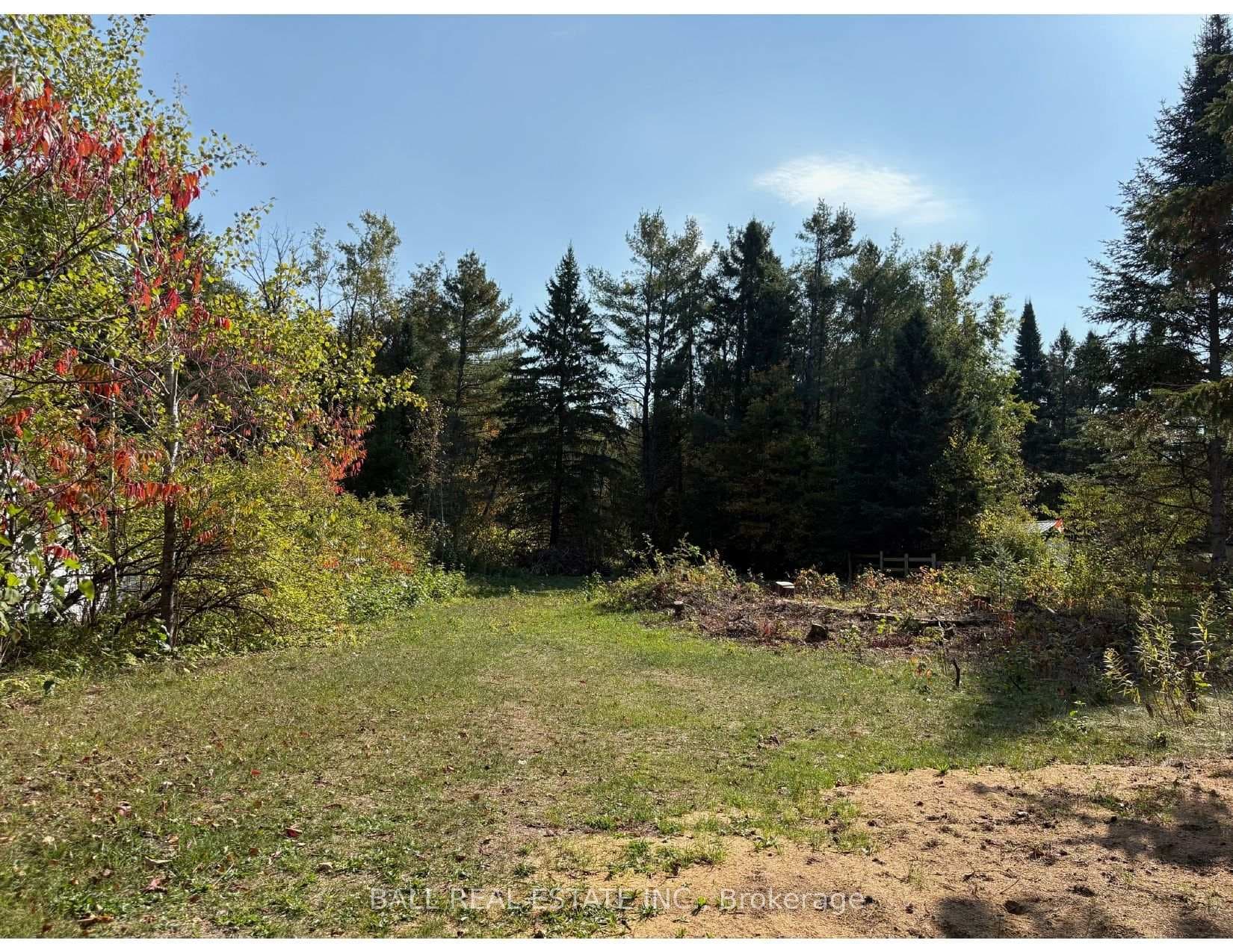 0 The Avenue N/A, Kawartha Lakes, ON K0M 2A0 - Photo 1