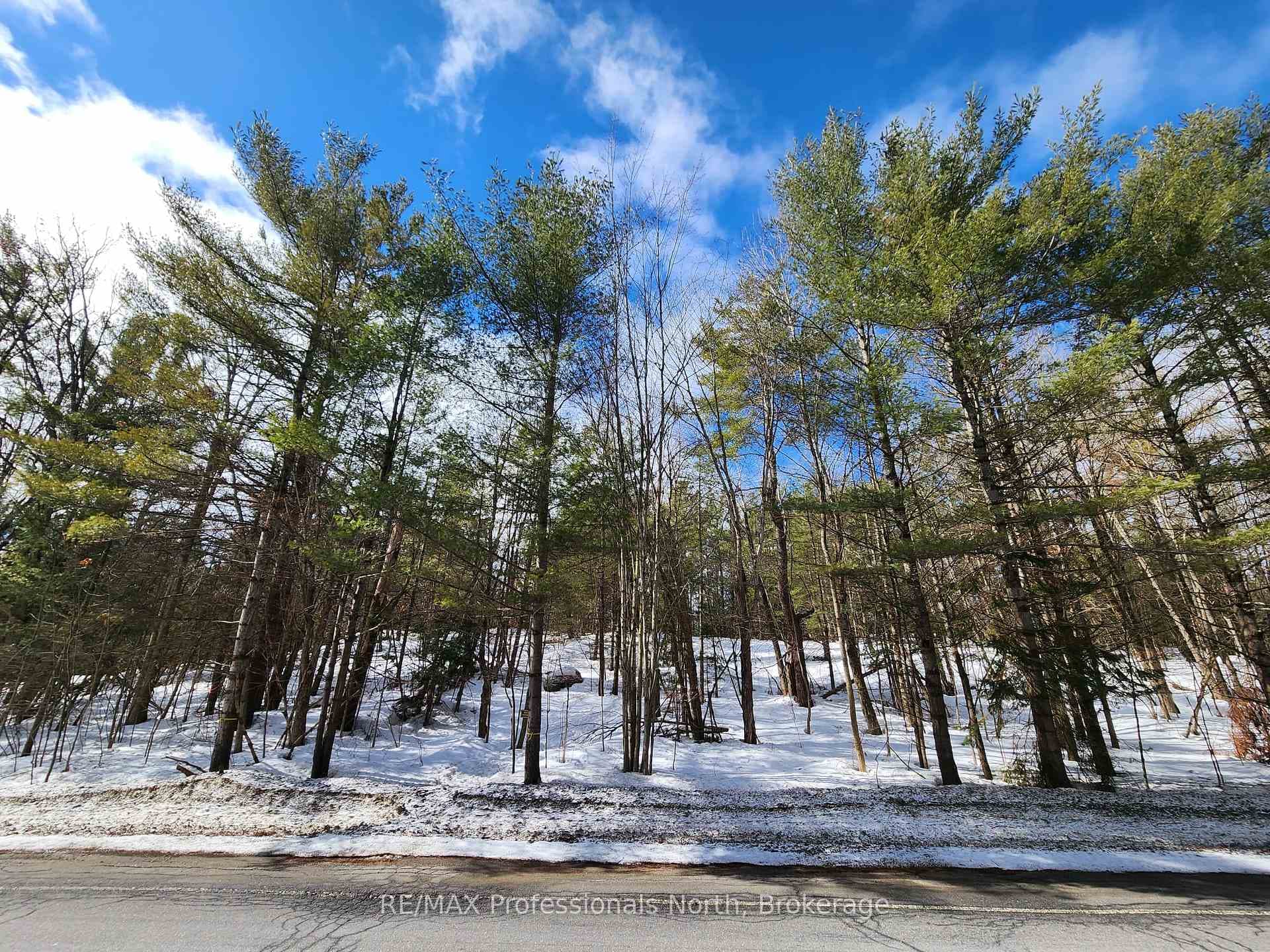 00 Manitoba Street, Bracebridge, ON P1L 1W9 - Photo 1