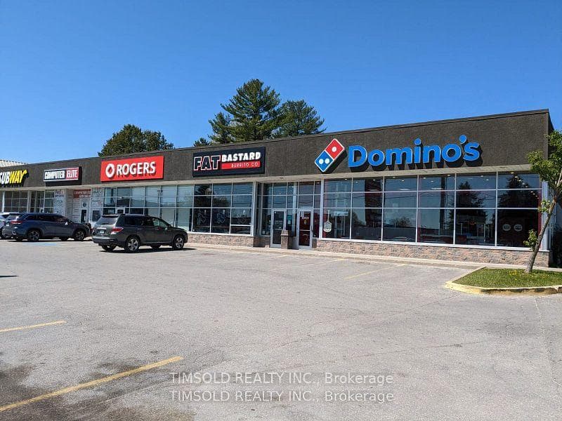 205 Memorial Avenue, Orillia, ON L3V 5X8 - Photo 1