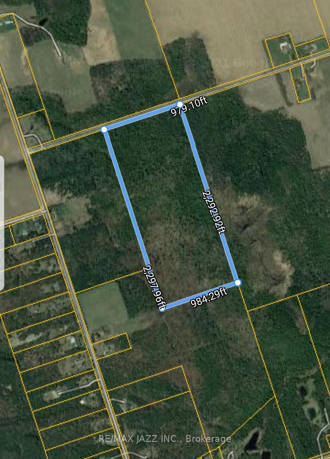 0 Ballyduff Road, Kawartha Lakes, ON L0A 1K0 - Photo 1