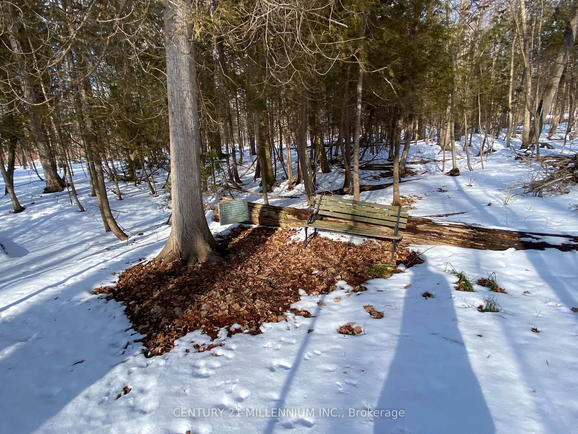 11 Knox Road, Wasaga Beach