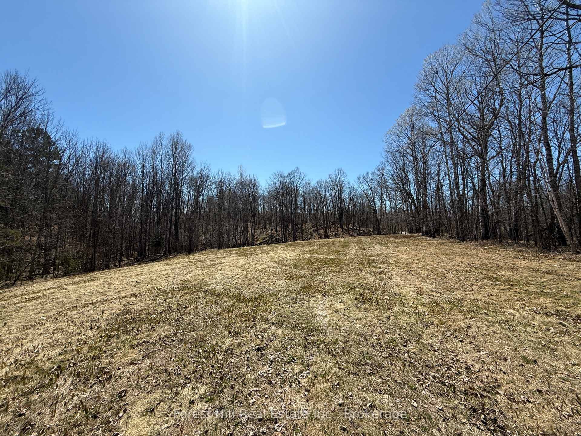 0 East Road, Parry Sound Remote Area, ON P0H 1S0 - Photo 1