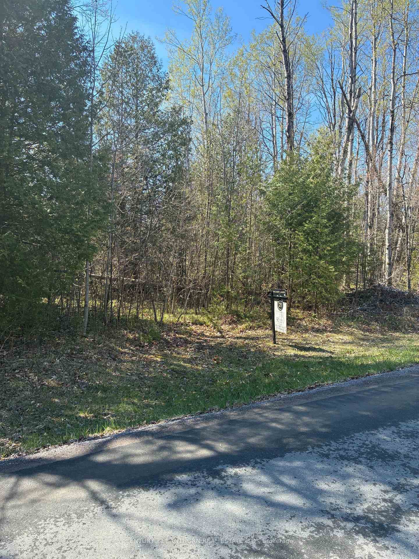 00 Sills Road, Centre Hastings, ON K0K 3E0 - Photo 1