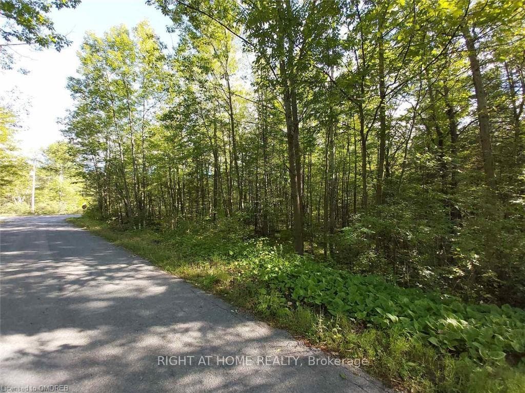 0 Rockhaven Crescent, Marmora and Lake, ON K0K 3K0 - Photo 1