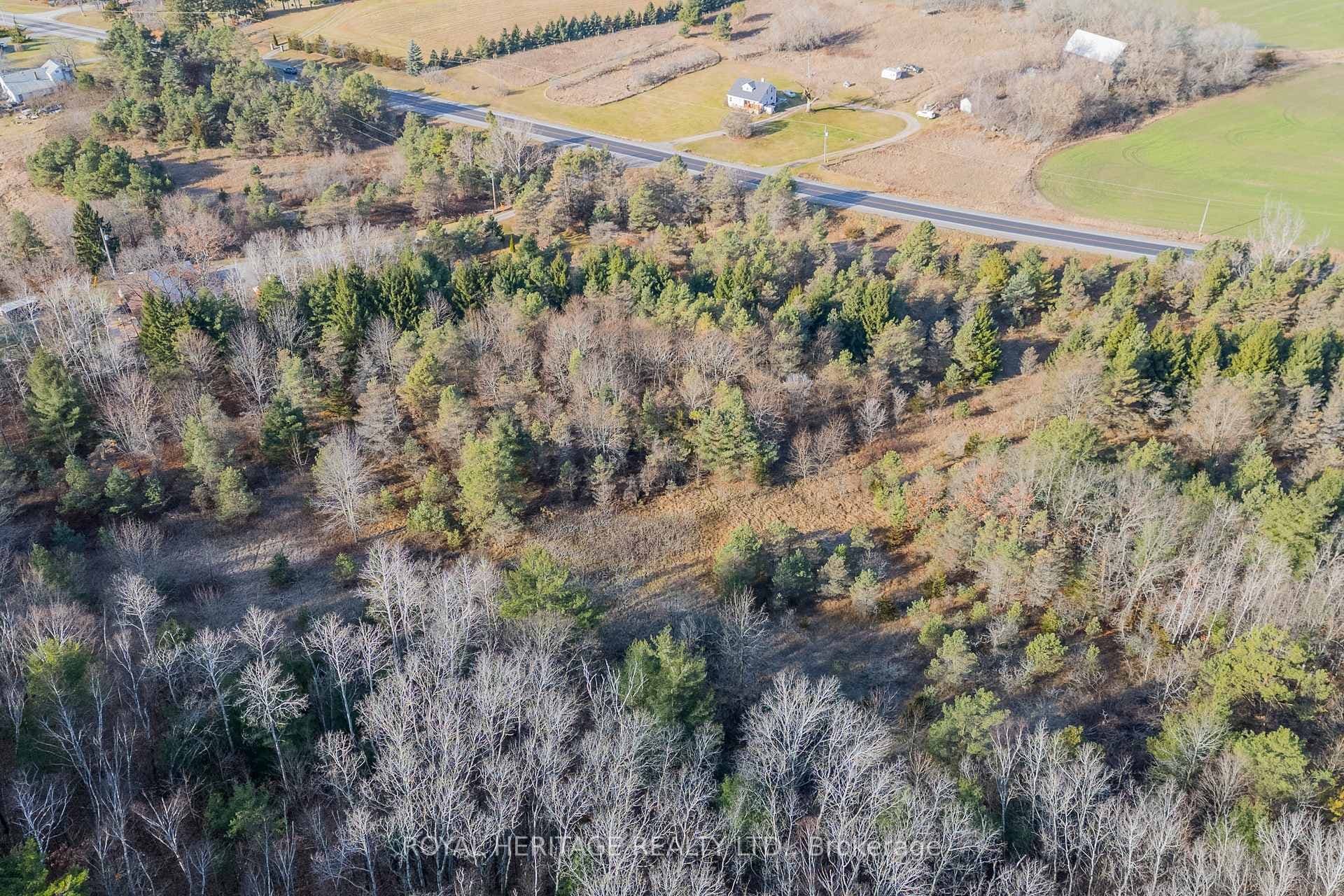 PT LT 31 County 25 Road, Cramahe, ON K0K 1M0 - Photo 1