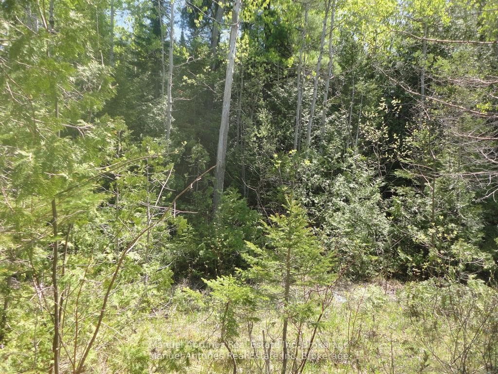 Lot 53 Bay Sands Drive, Wasaga Beach, ON L9Z 1V1 - Photo 1