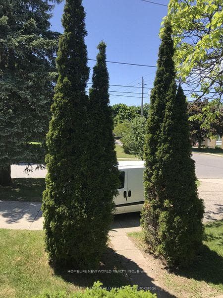 203 Goddard Street, North York (Bathurst Manor / Clanton Park), ON M3H 5E7 - Photo 1