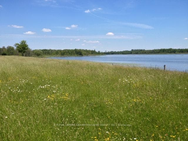 0 O'Reilly Lane, Kawartha Lakes, ON K0M 2T0 - Photo 1