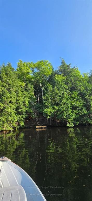 0 Madawaska River N/A, McNab/Braeside, ON K0J 1G0 - Photo 1